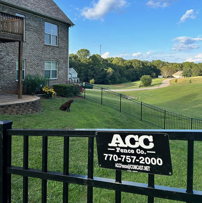 Black metal fence with ACC Fence Co. sign in front of a house and a dog sitting on a grassy lawn under a blue sky.